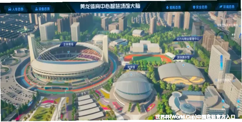 历史命中率展示